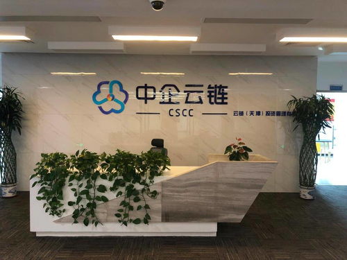 中企云鏈 安心扎根，舒心發(fā)展，創(chuàng)新金融科技服務與信息技術咨詢